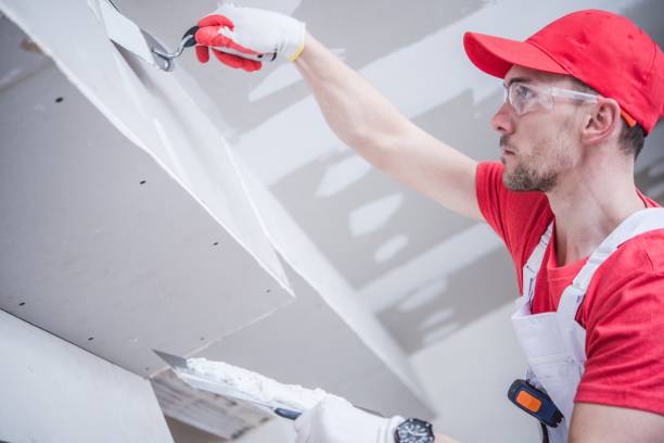 Best Drywall Finishing  in USA